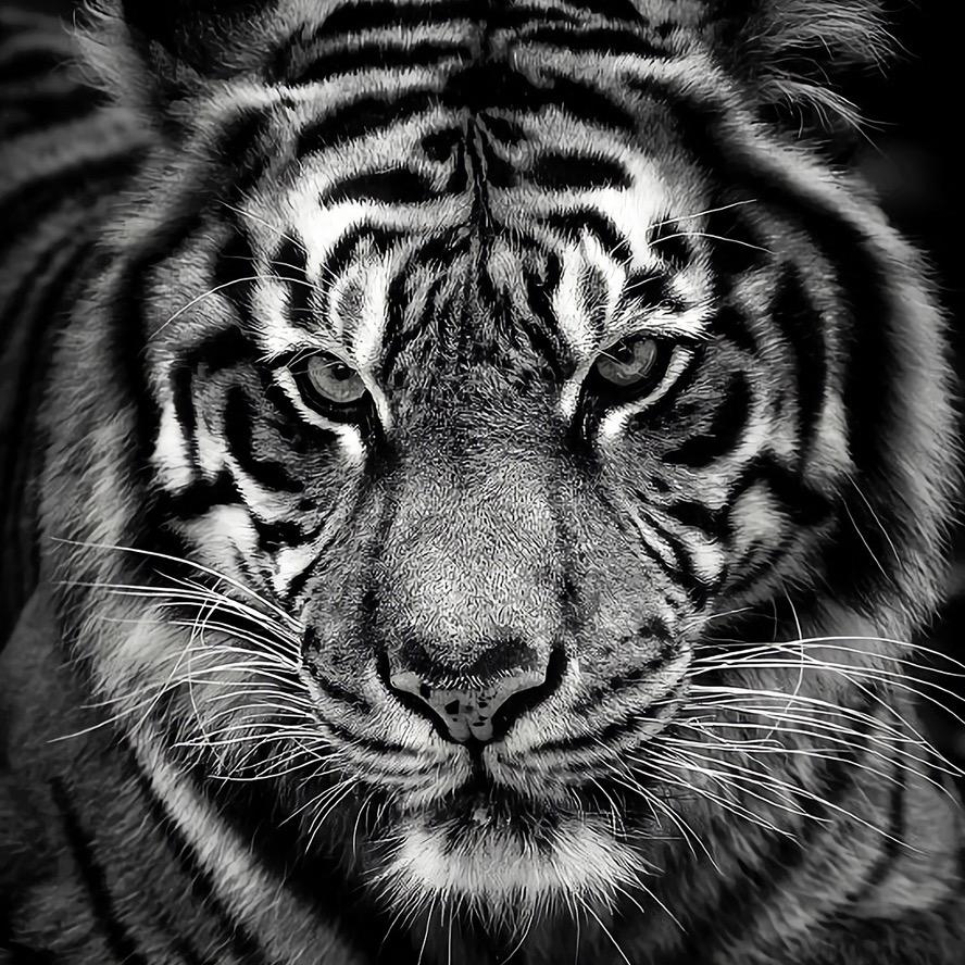 H高考数学郝老师