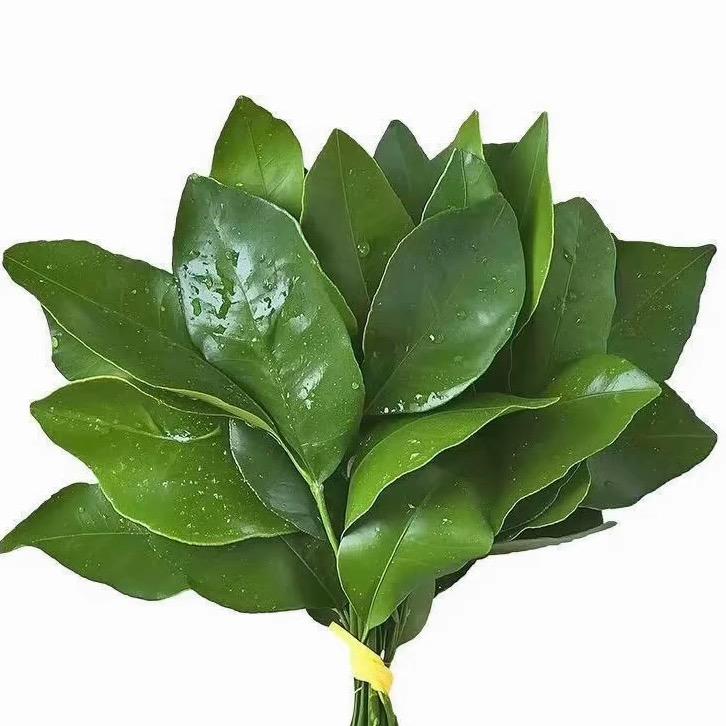 一碗杨芋疙瘩🥔