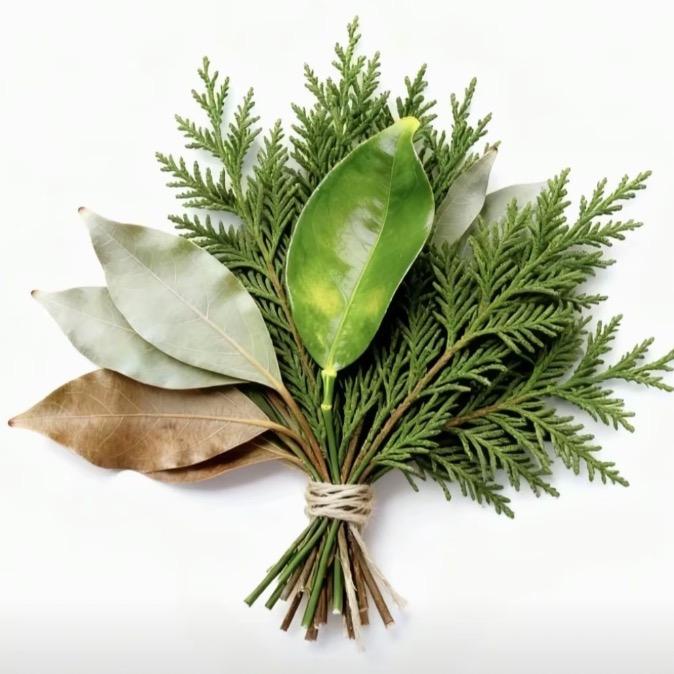 遇见奇妙兔ᙏ̤