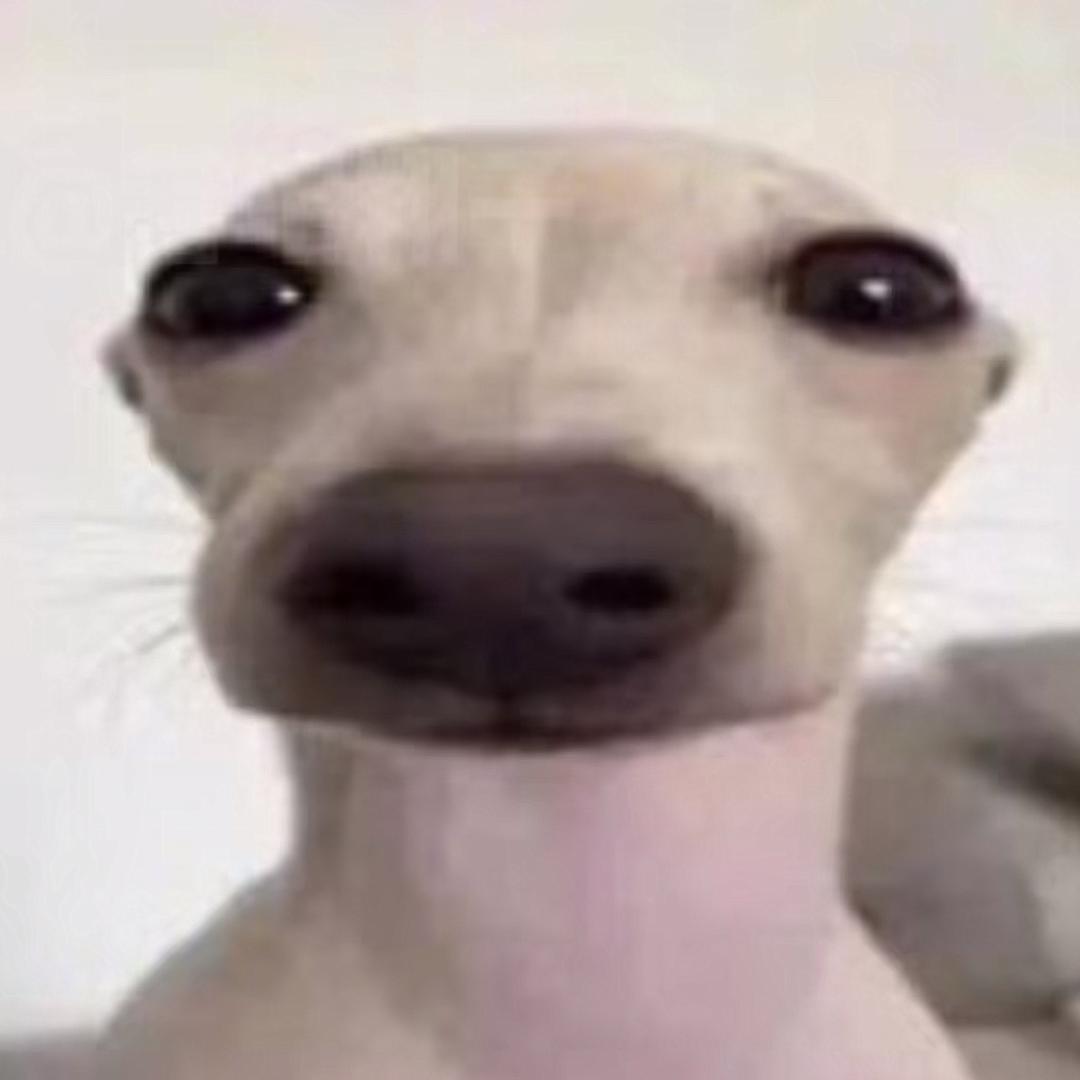 哈基坤
