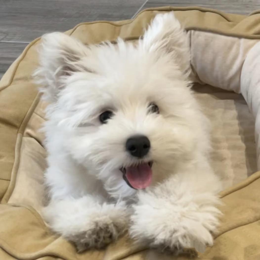 我要早睡！