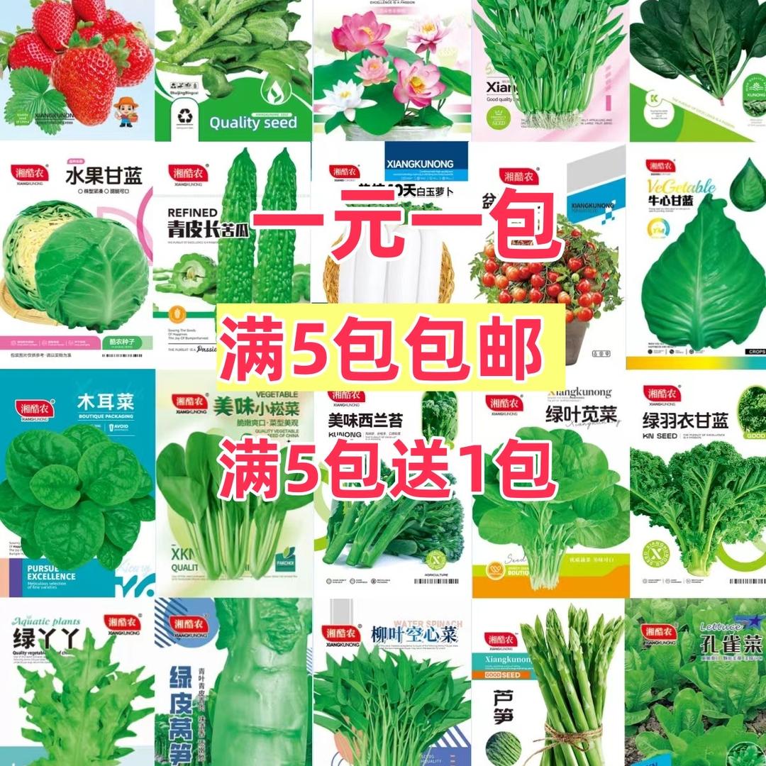 四季 种业