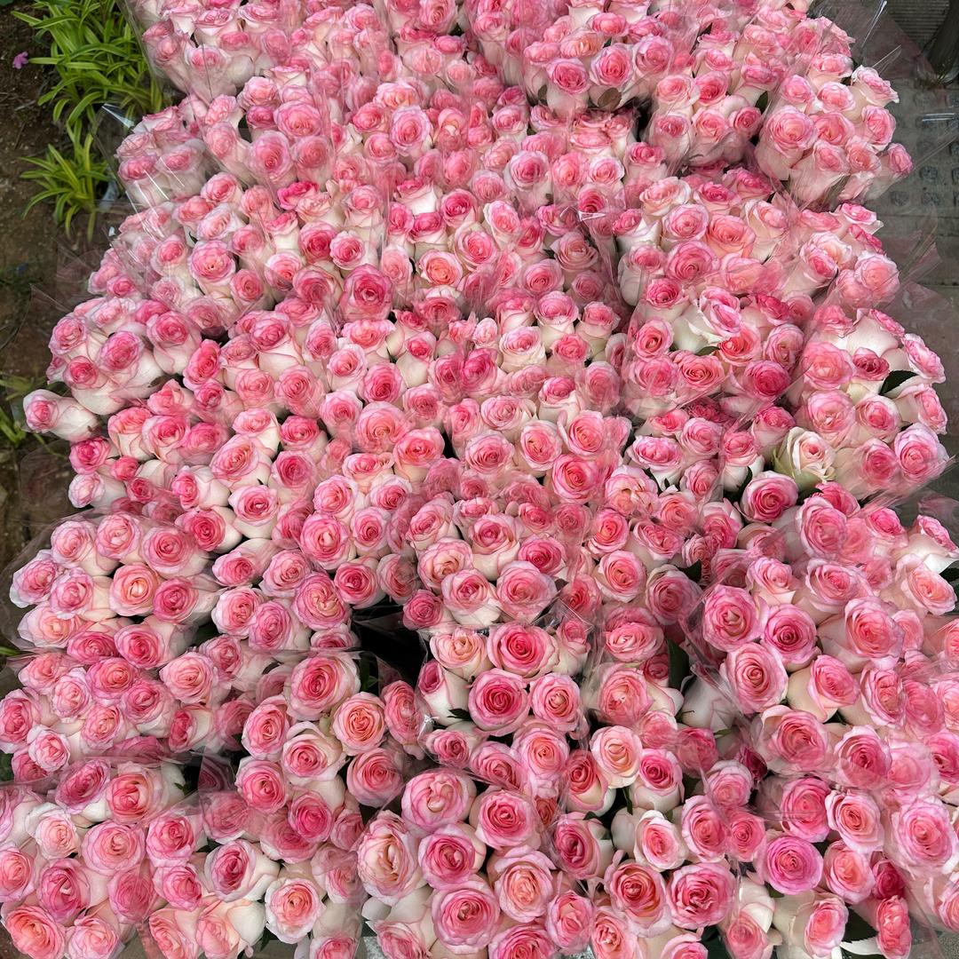 小鲜花