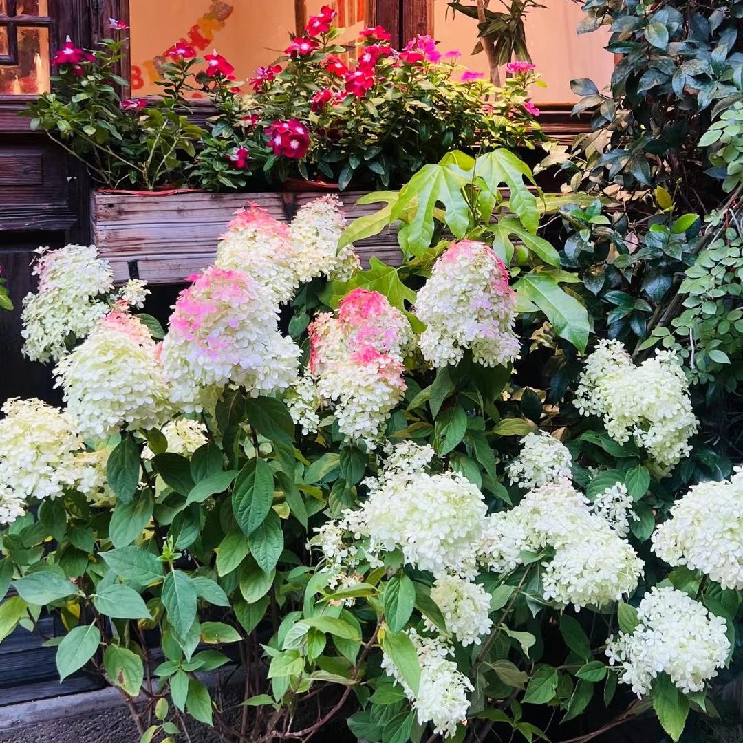 原野餐厅椒江店