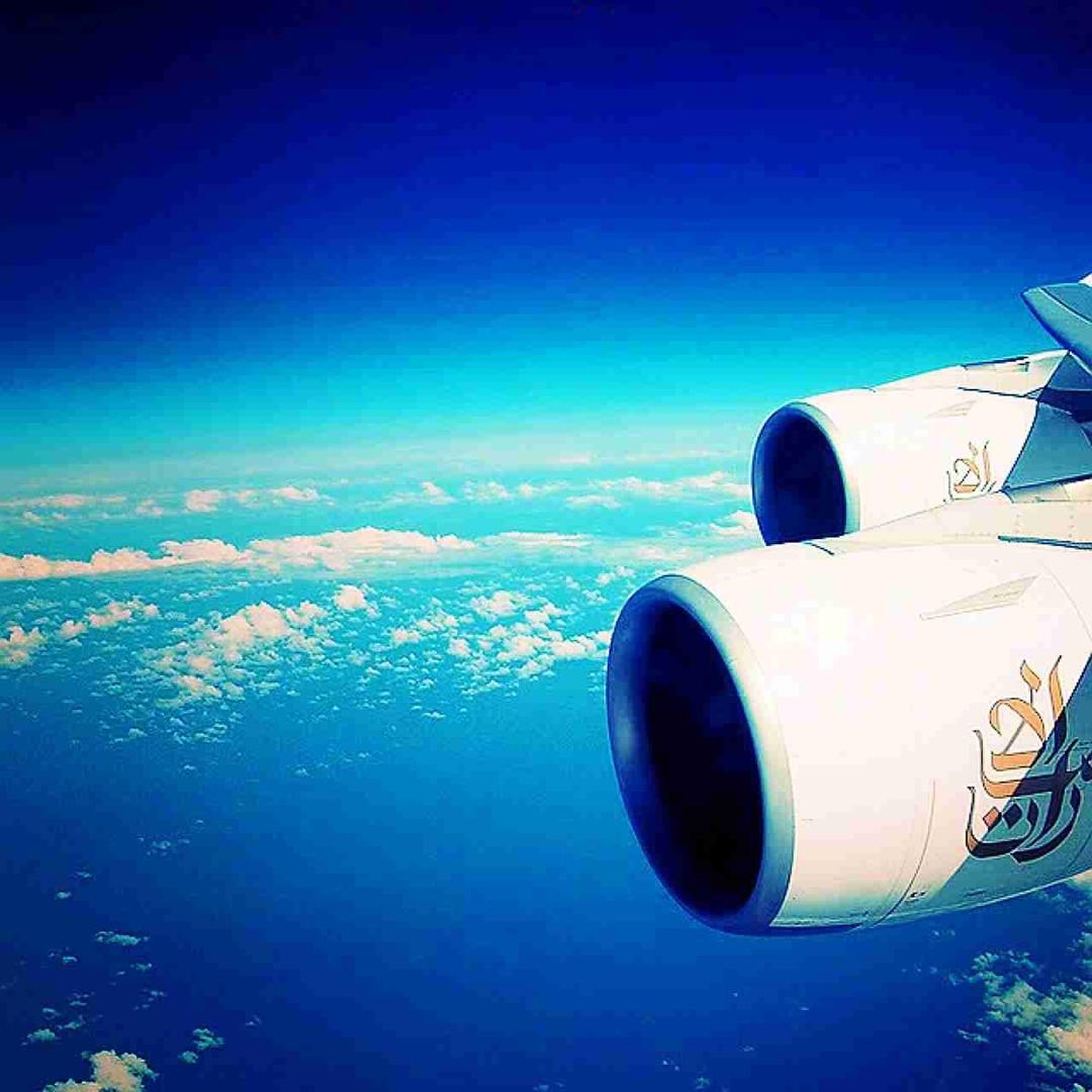 soyo