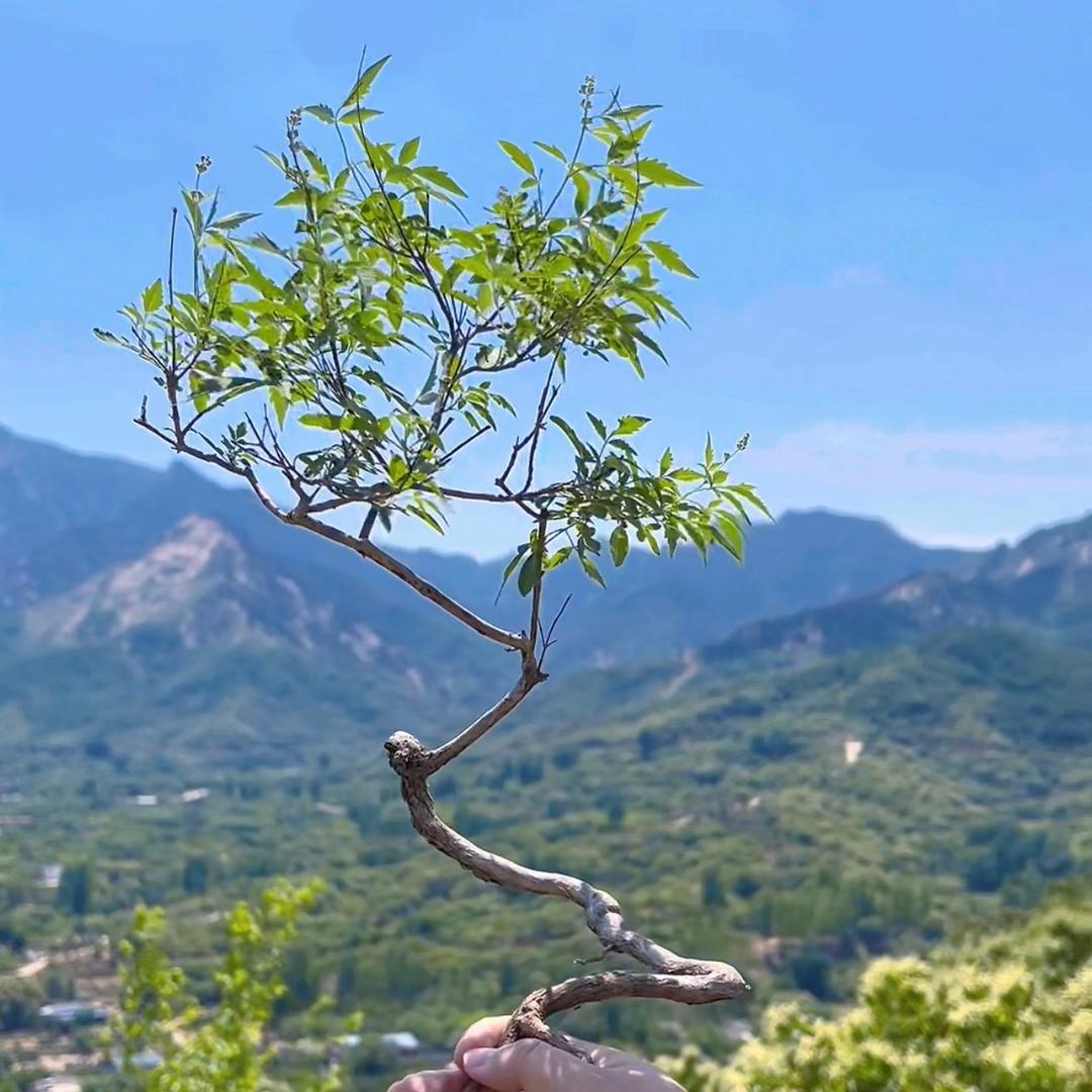 与荆说
