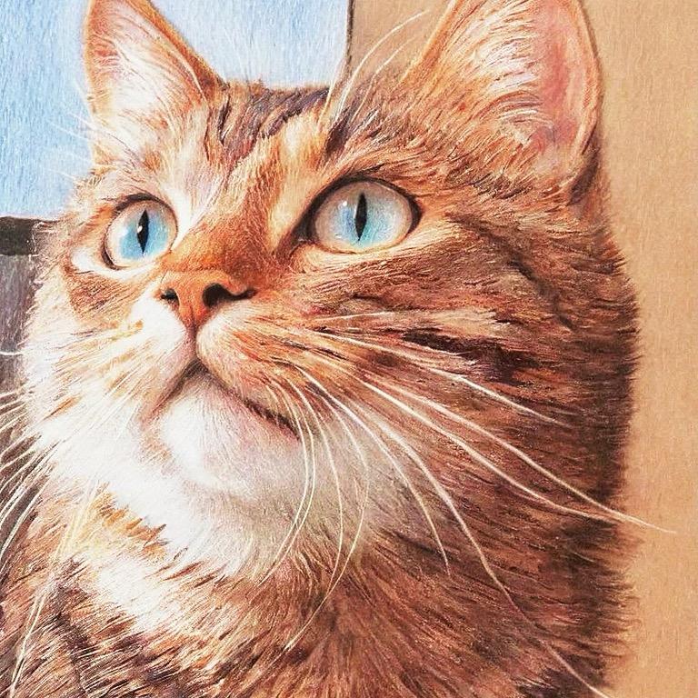 我叫王狗蛋但我是只🐈