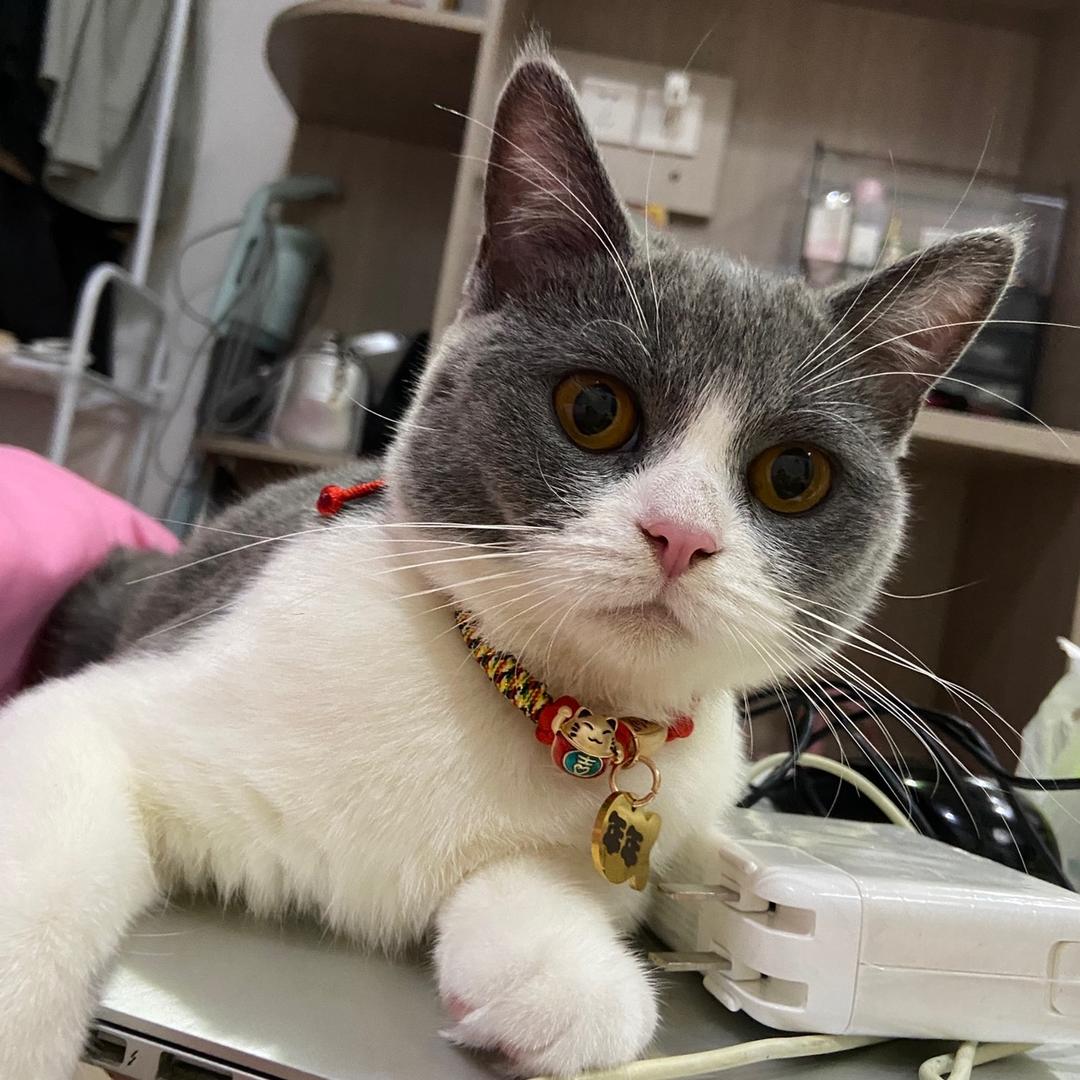 小盐年年✨