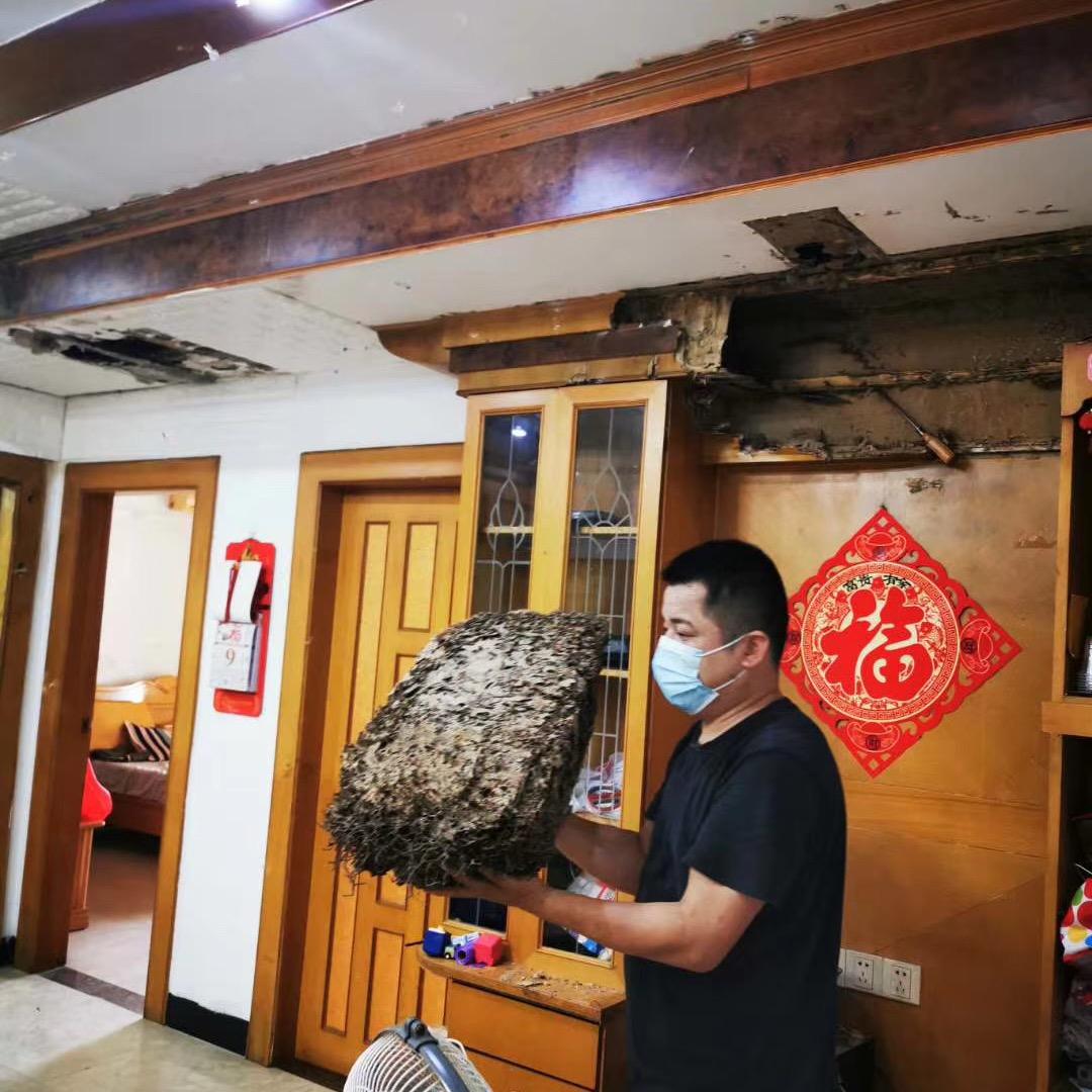 百驱白蚁王子-小张