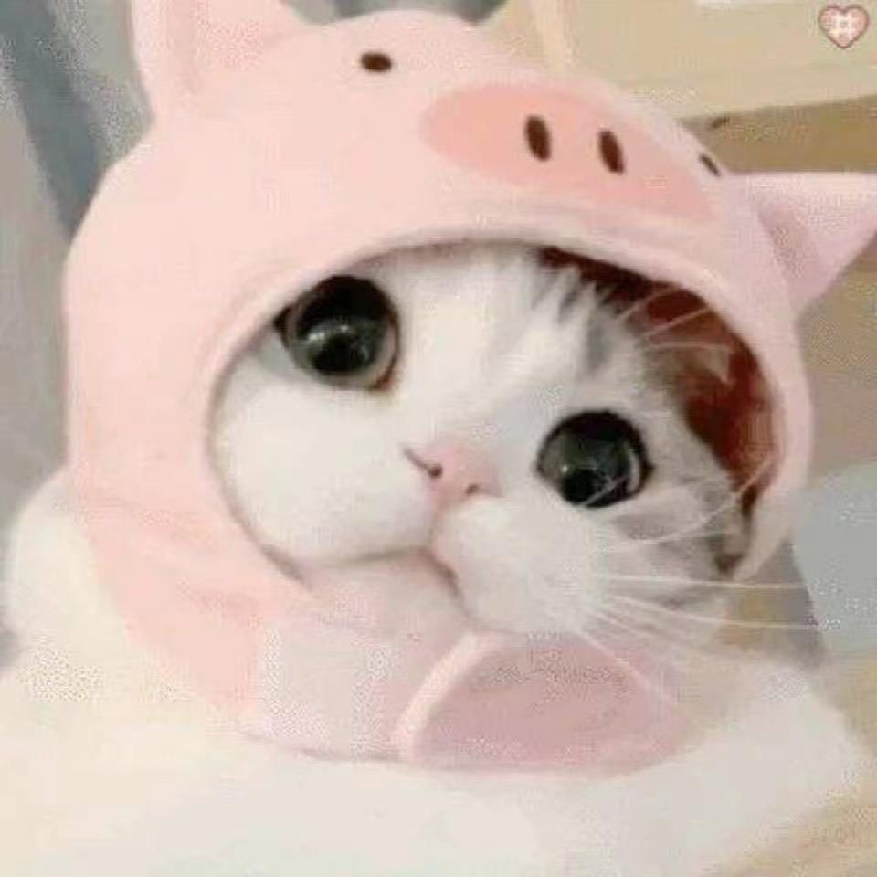 陌     枭     殇