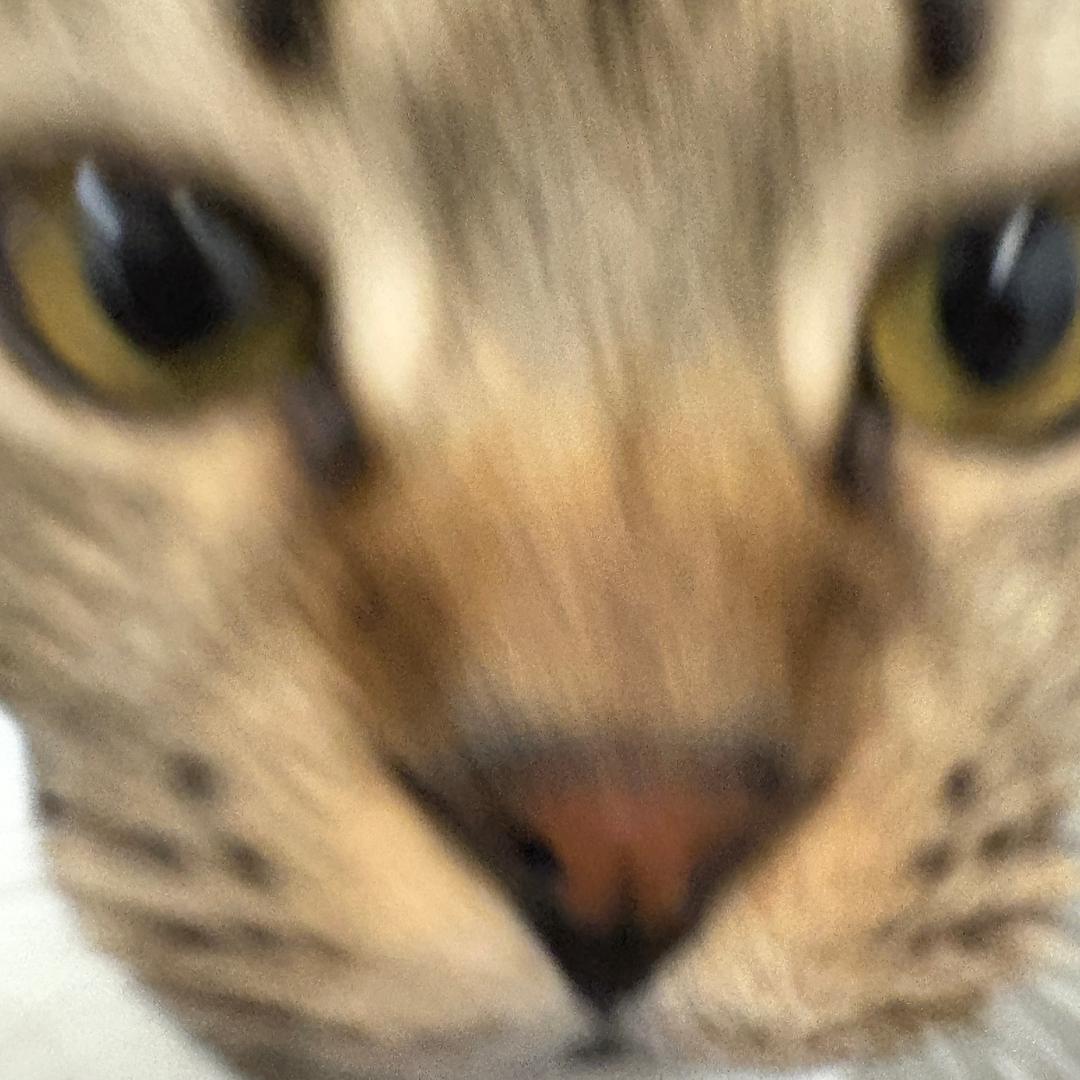 oNancyo