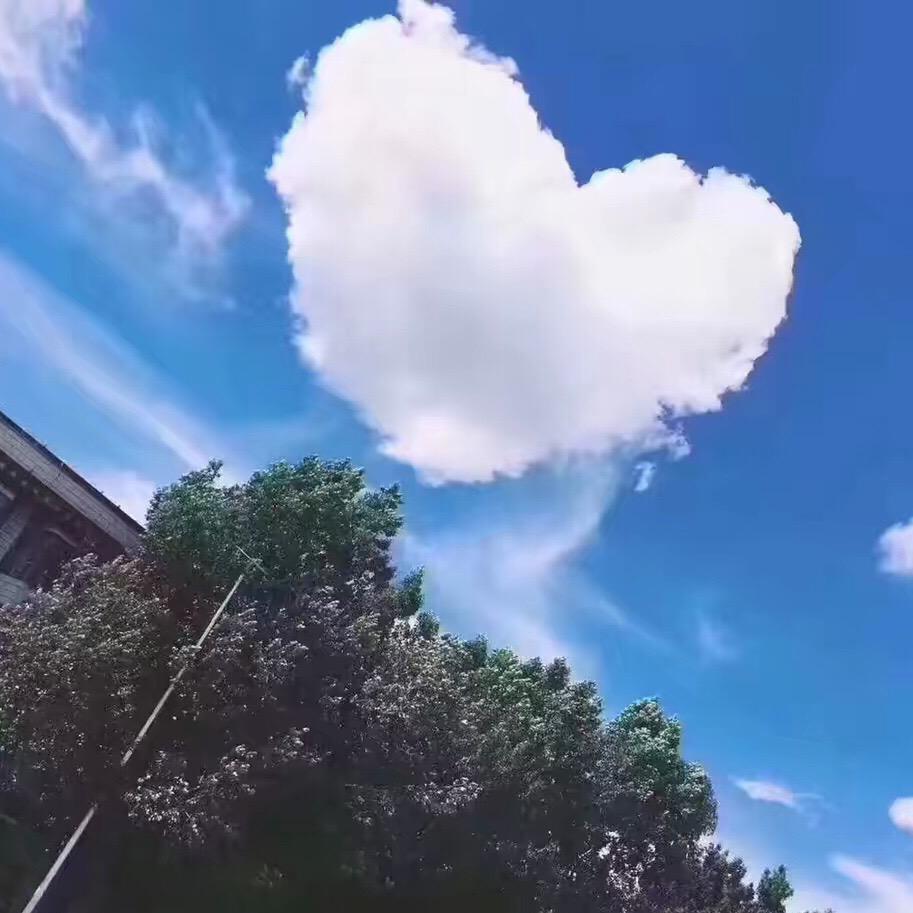 皮卡丘川A烟花🎆搬运工