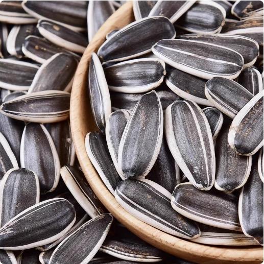 邦农惠园艺营养土