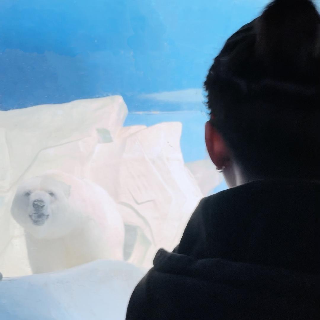 腰突小弛(保守痊愈篇)