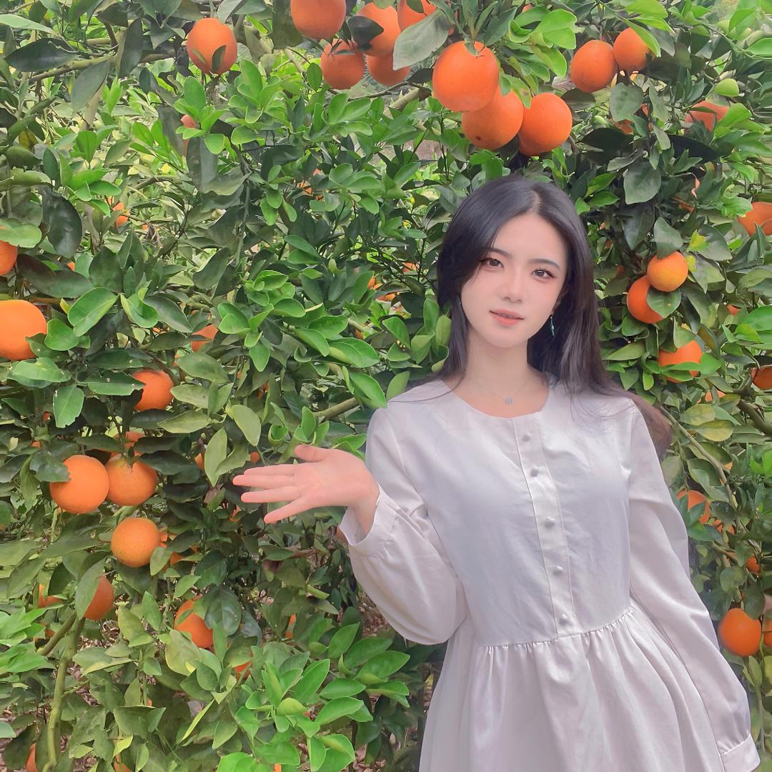 小城清清家的果园