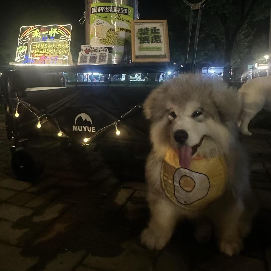 子涵的绿豆冰沙
