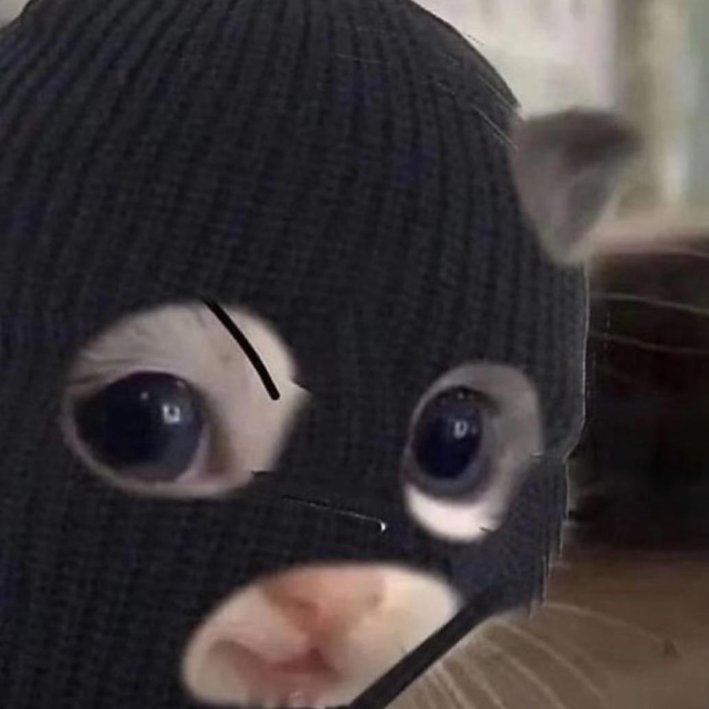 oo