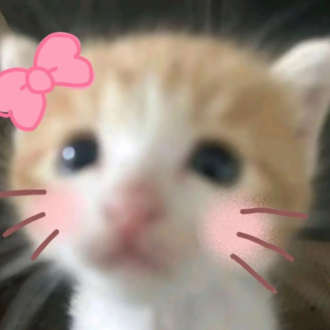 喵苗秒庙