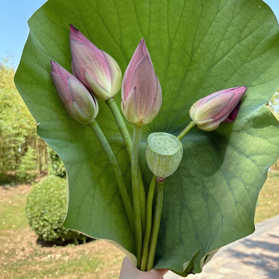 小聪明大智慧