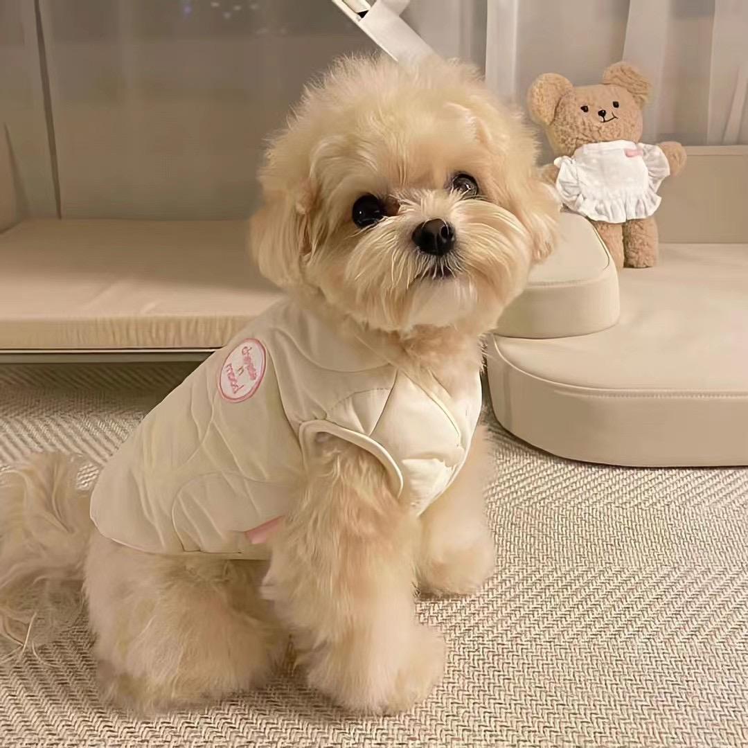歹徒么意思