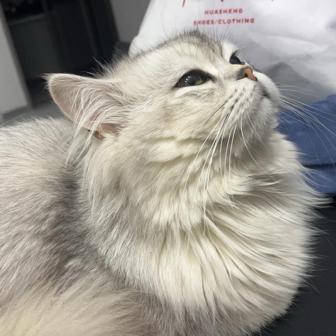 饿