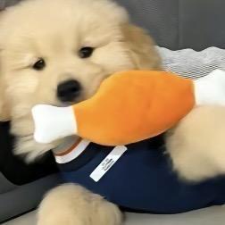 炫酷的长腿欧巴