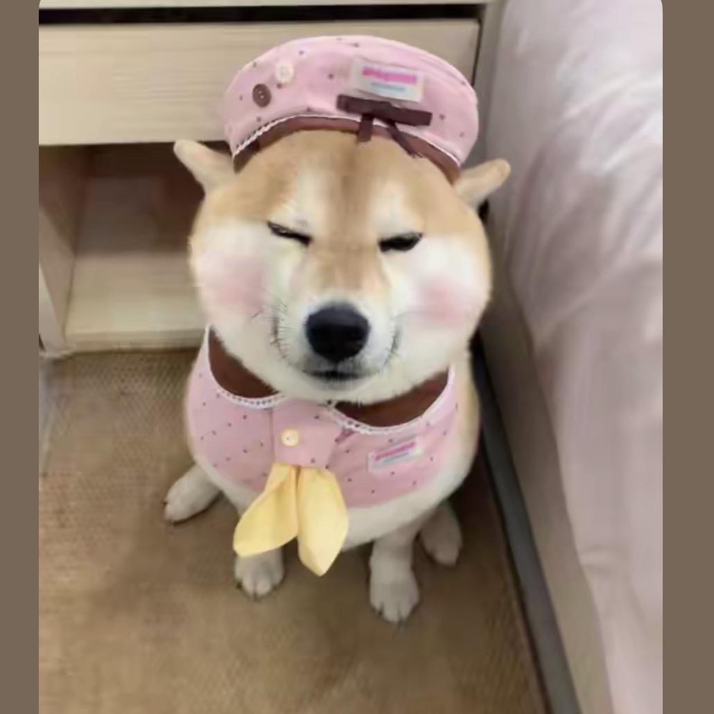💭…