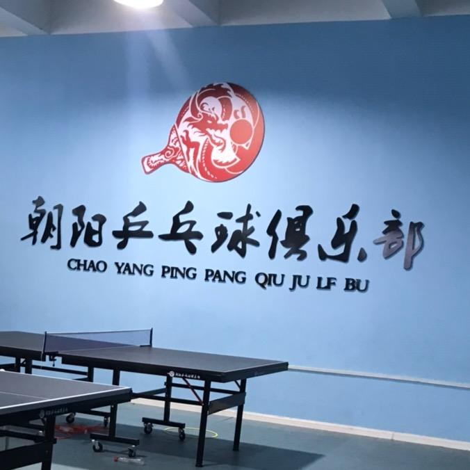 焦作朝阳乒乓球俱乐部Cici