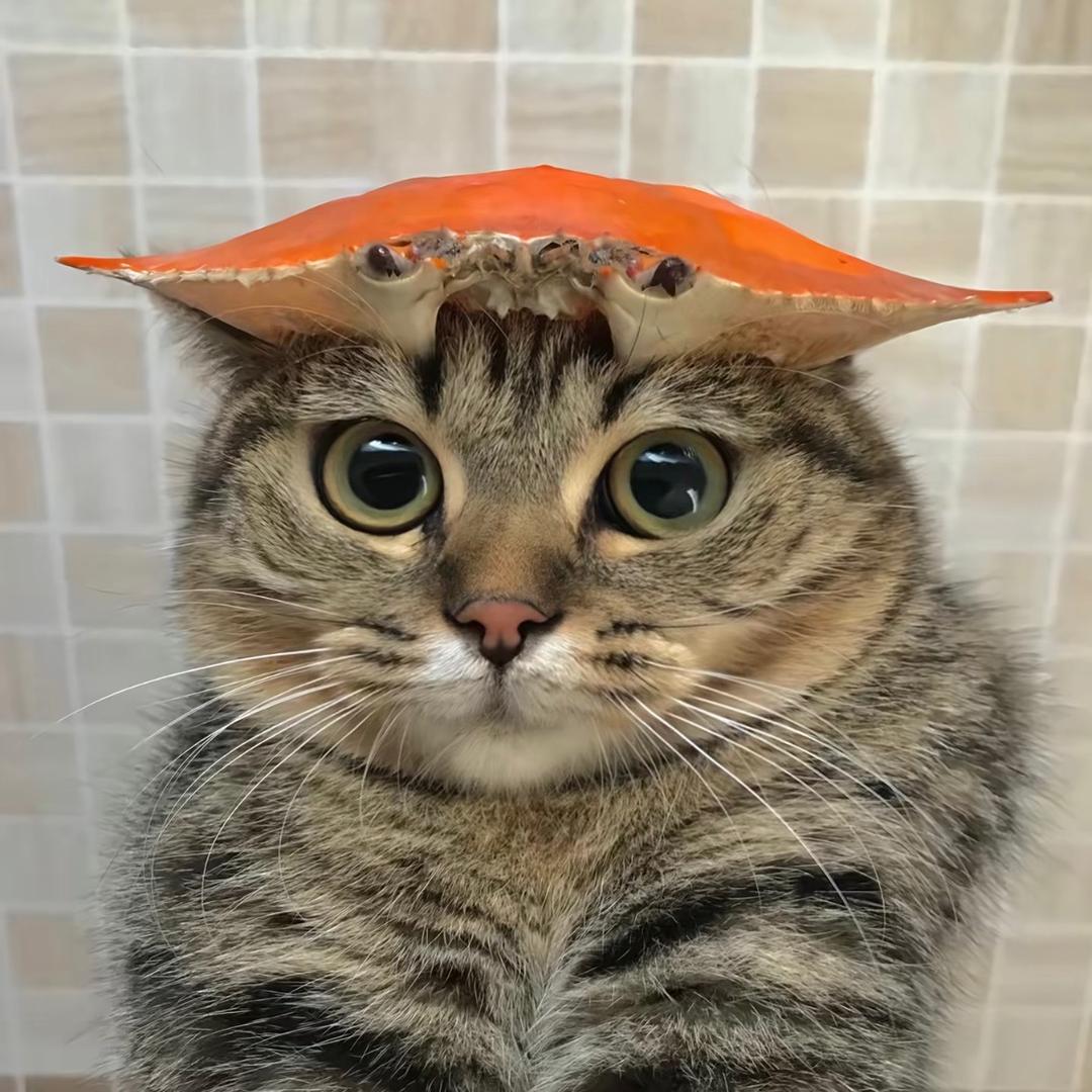 蛇 舌