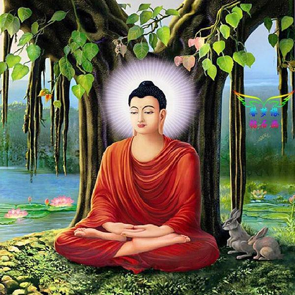 兰陵县强兴物流有限公司
