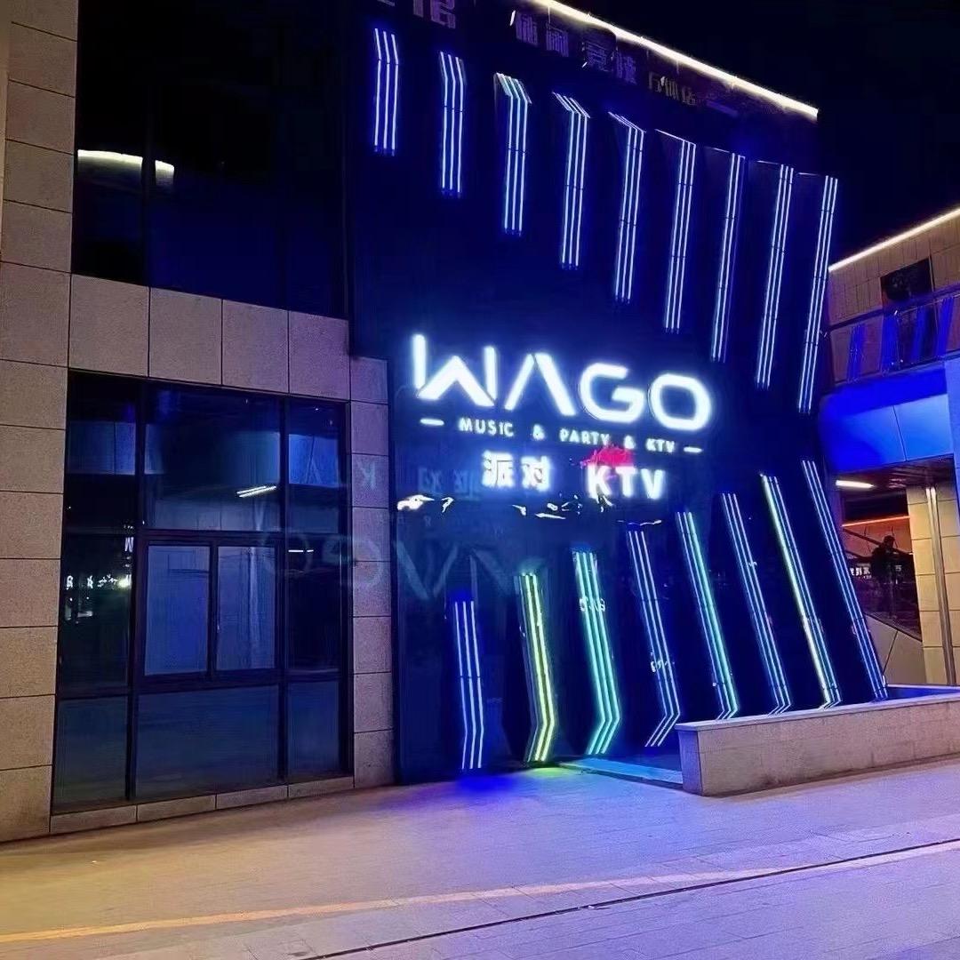 WAGO party.k家伟