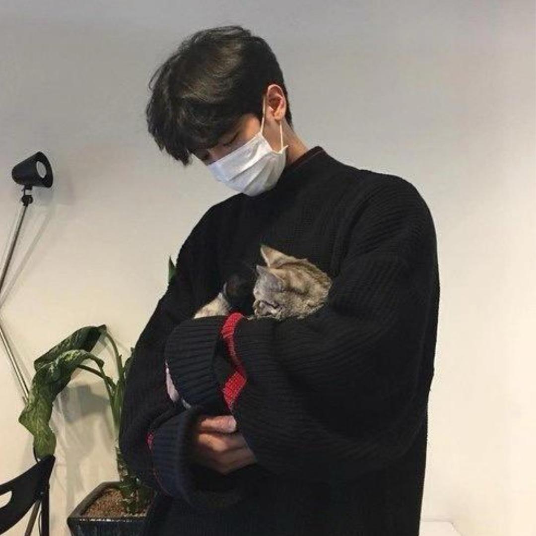 卓马也也