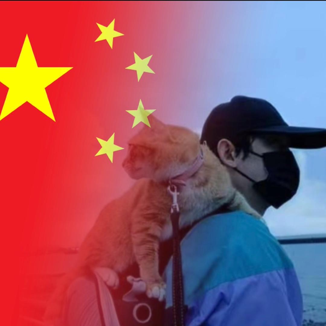 养猫人🐈