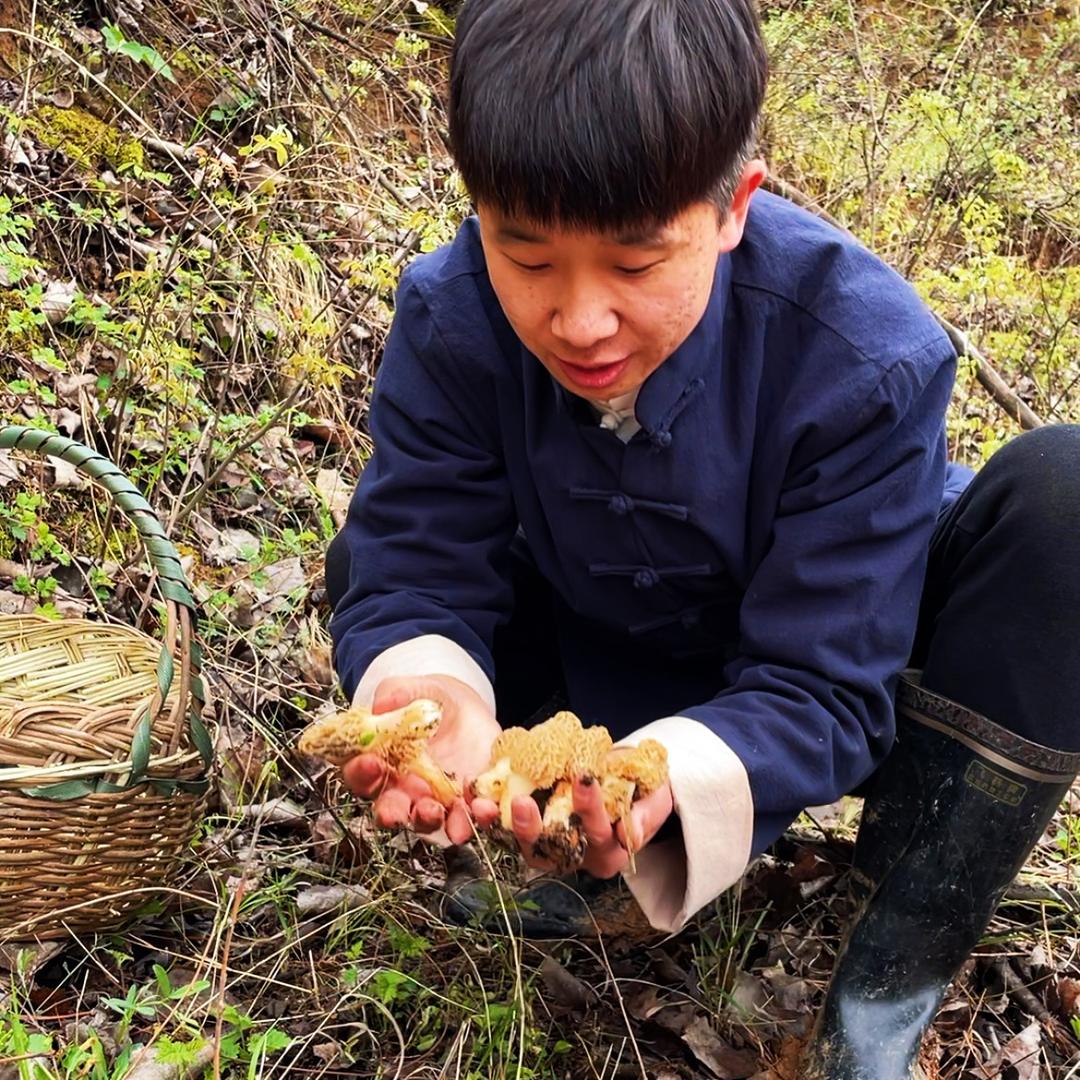 闲不住的老吴（小号）