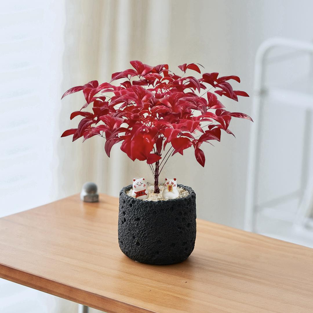 大蒜到家零售店