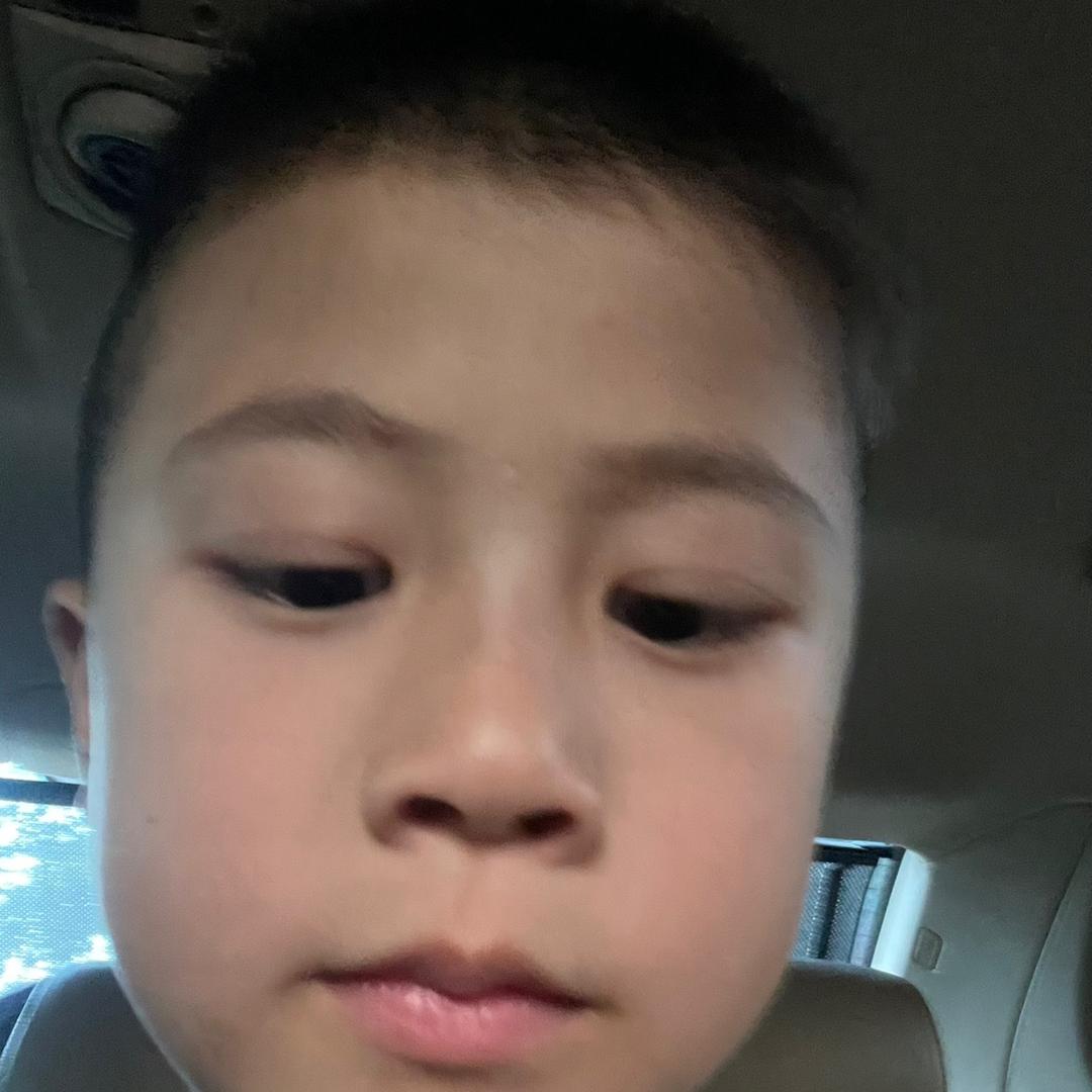 AAA陈仔番薯批发
