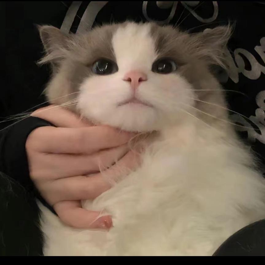 无夕（超速王）