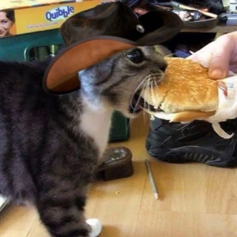 io