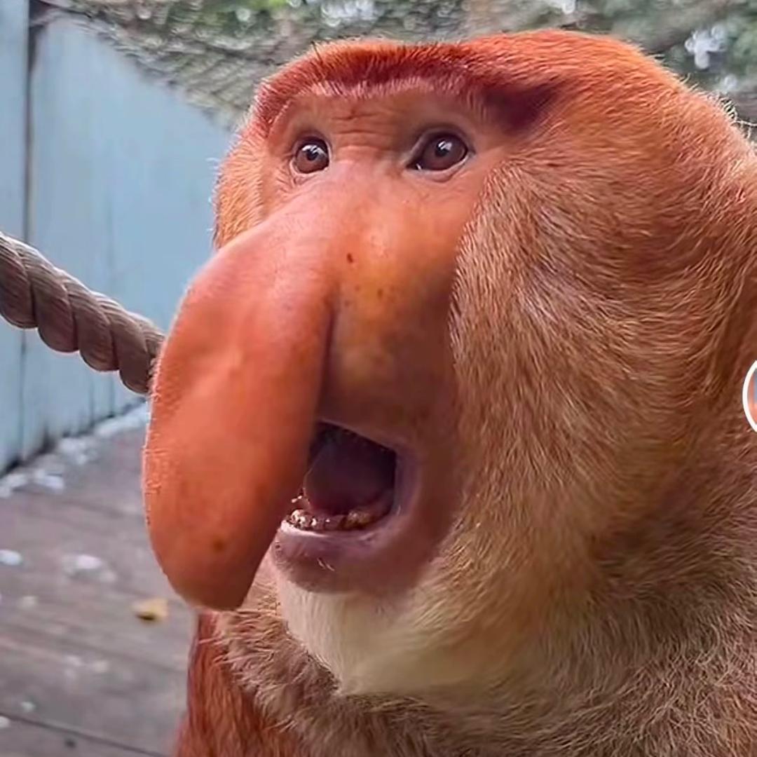 向钱看向厚赚
