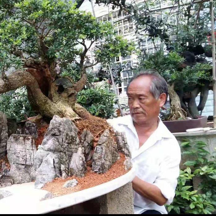 书记🌲