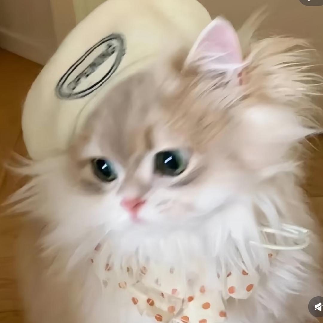 露奈儿女鞋室studio