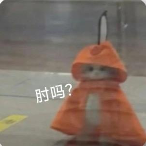 一只沙皮狗