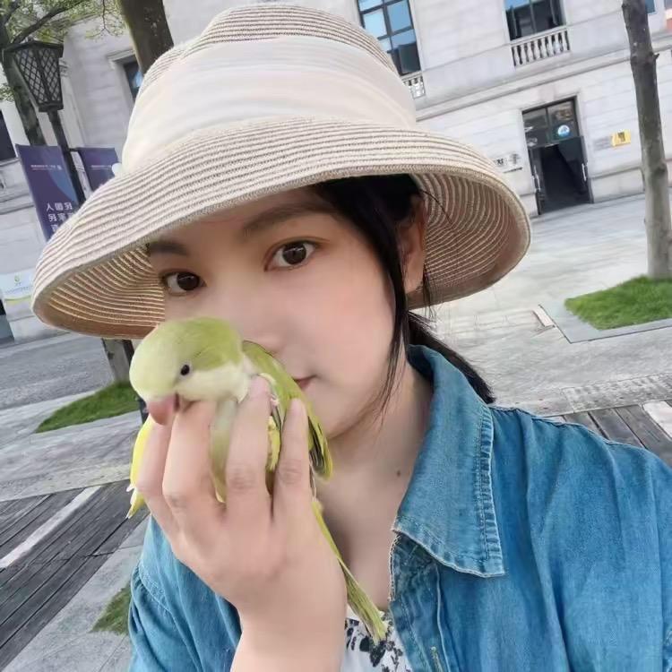 芳祯有好多鹦鹉