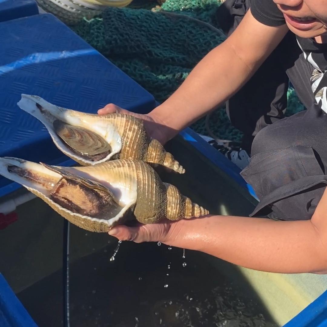 海鲜小卖部