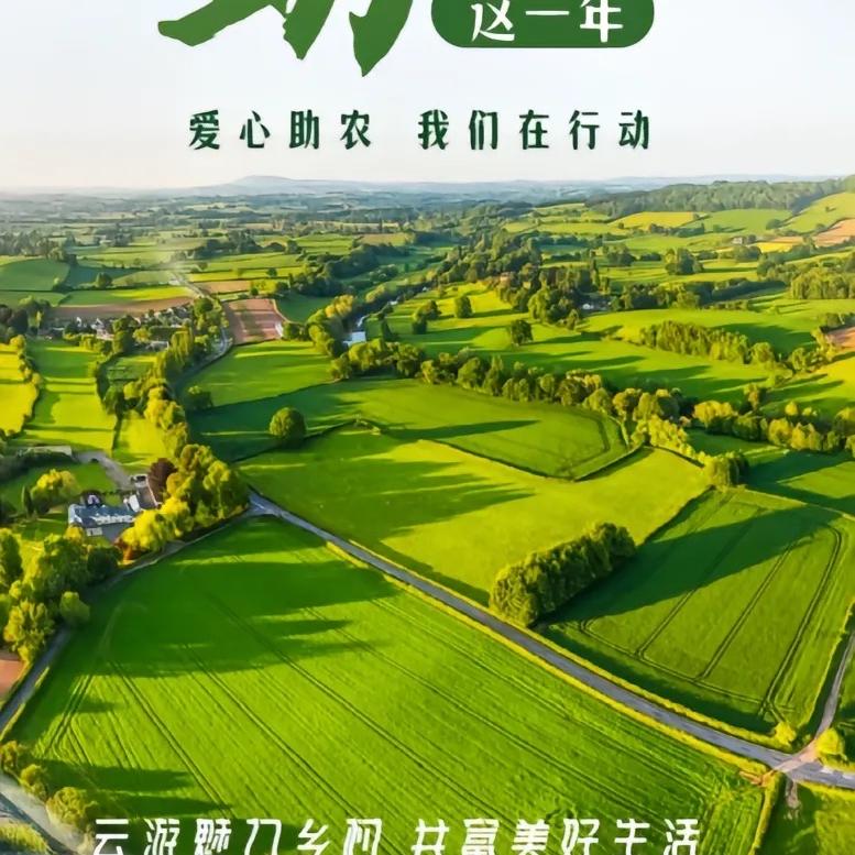 【云集】植选