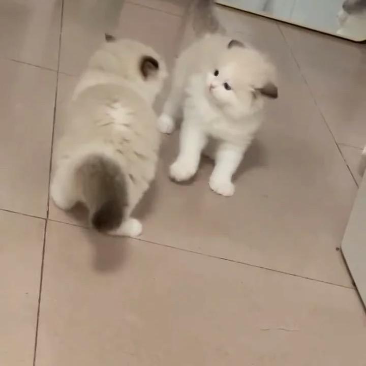 哈哈哈～