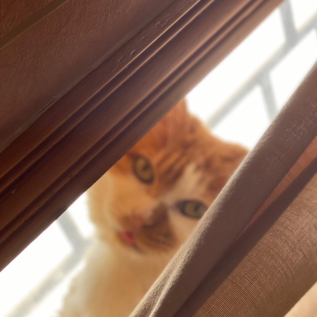 Kahoさん