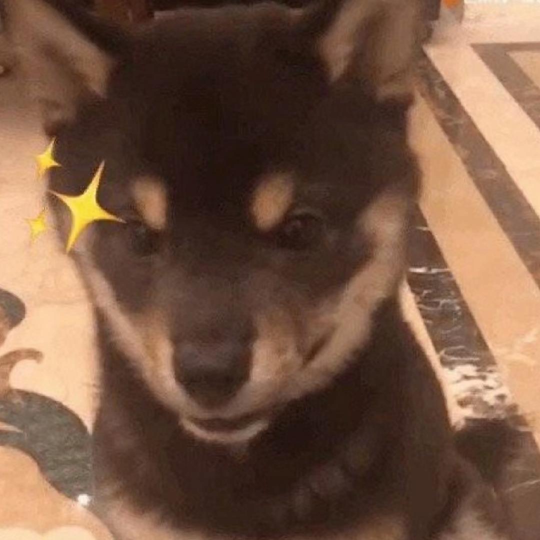 小锅每天都开心^ - ^