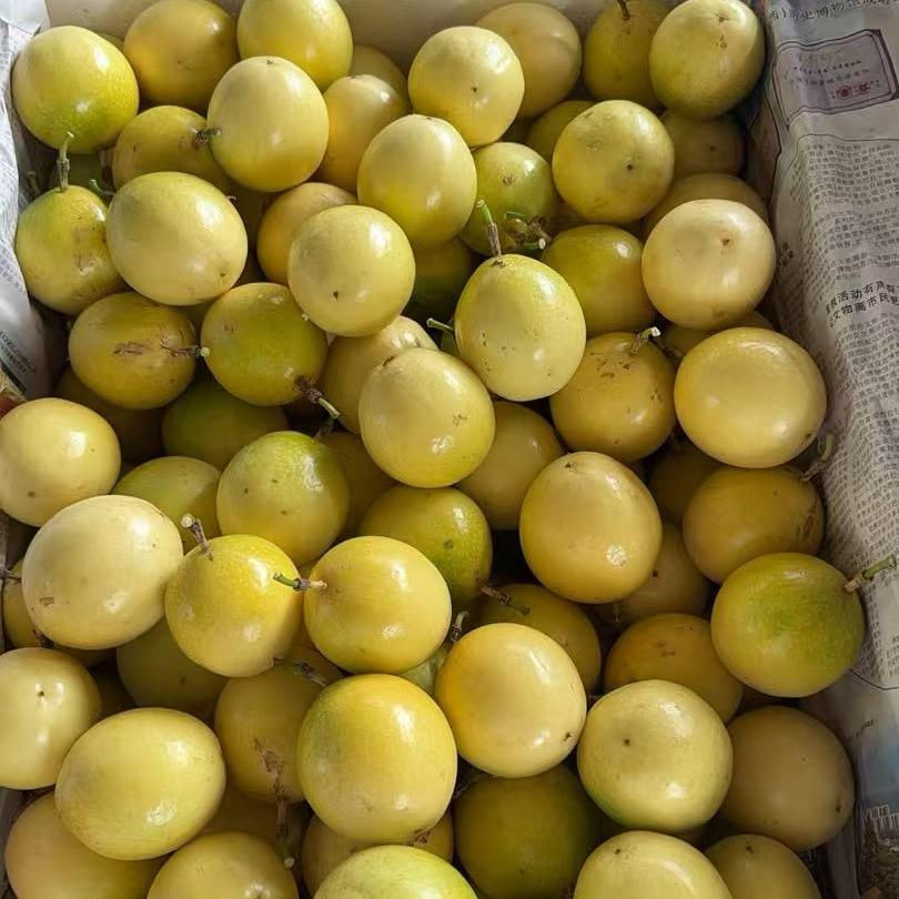 曹氏果业（各种水果百香果代卖）福州