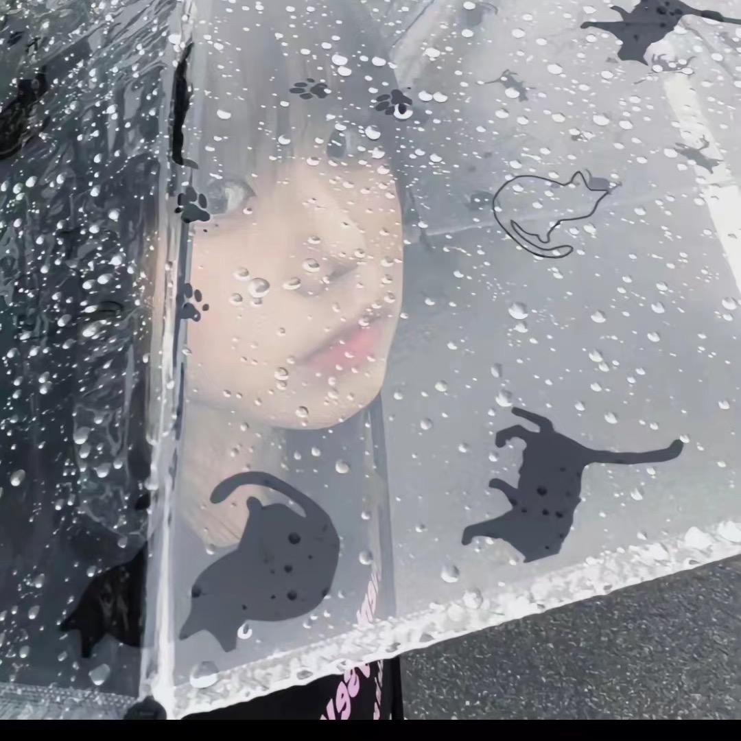 粉红豹